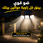 Triple LED Solar Light